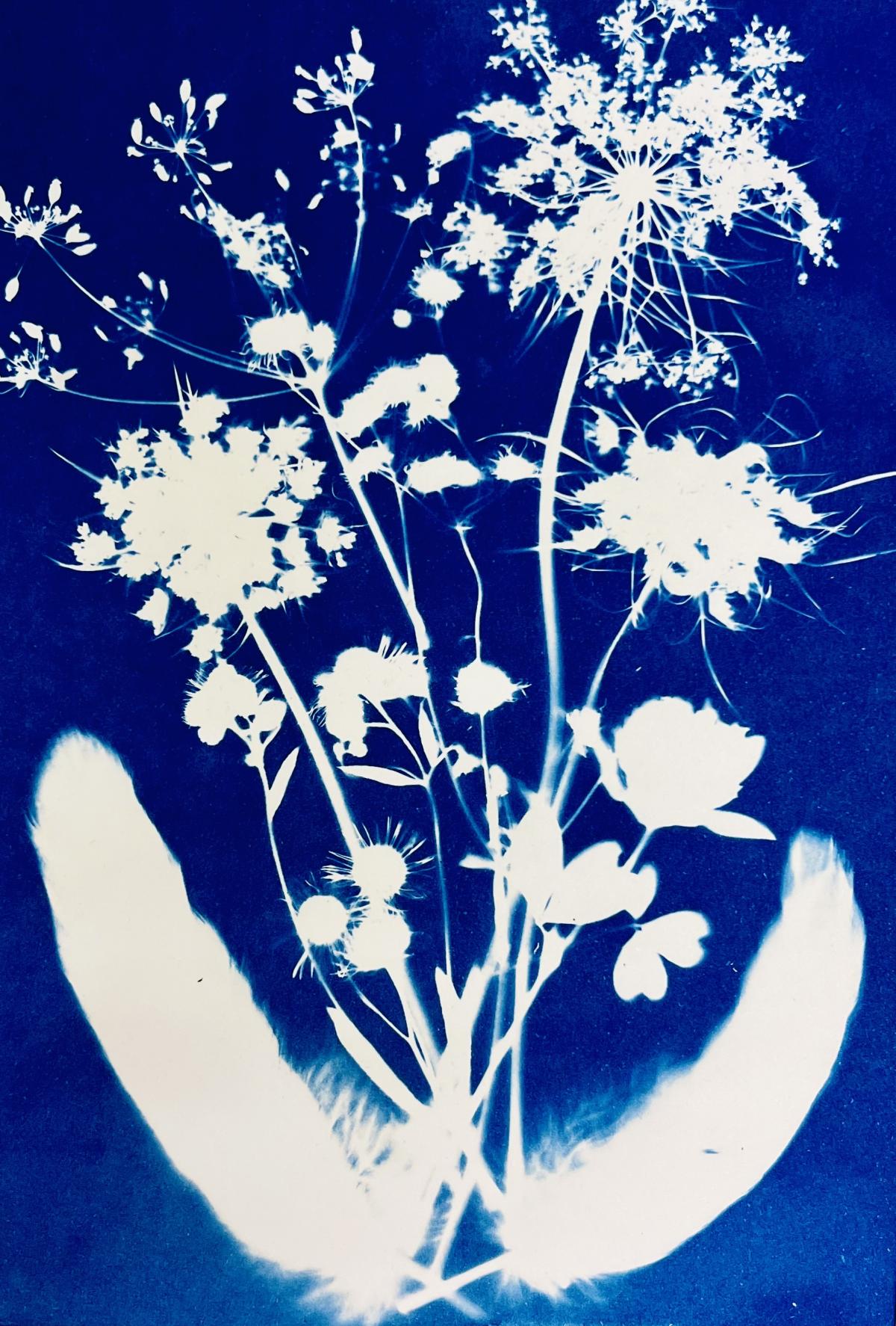 Sunprint on Blue paper